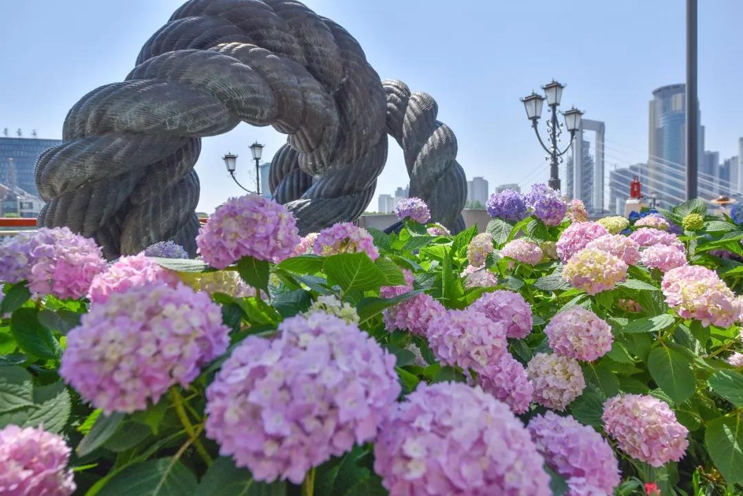 微信图片_20191008173011.jpg