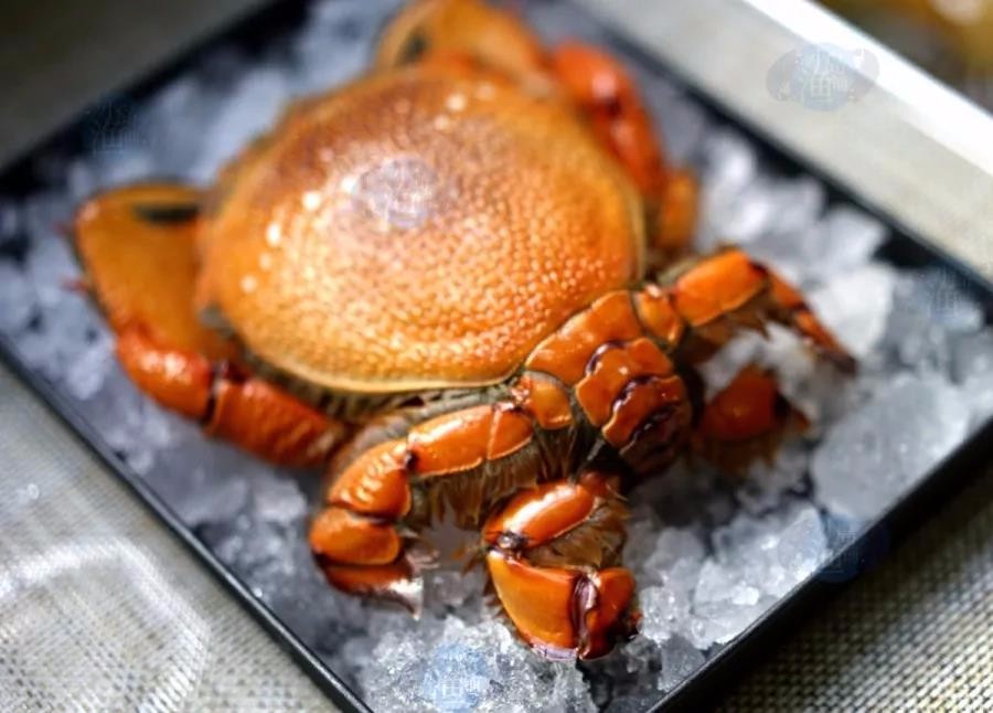 用鲜爽的海鲜、湛蓝的大海抵抗炎炎酷暑