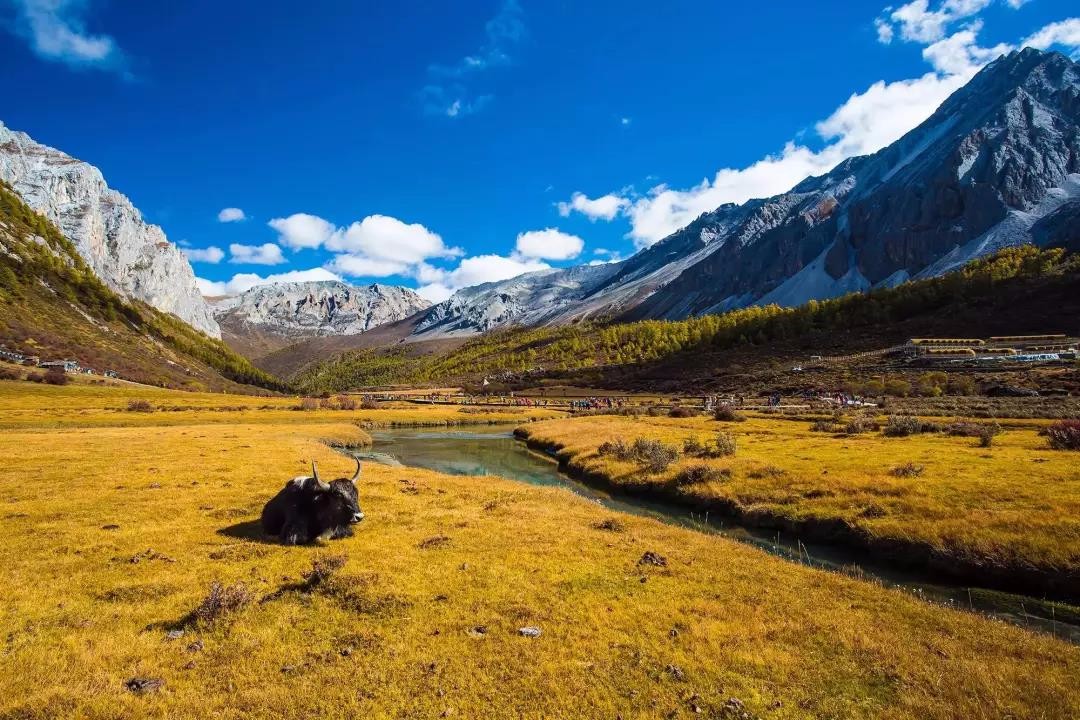 瑞森旅行 | 最美川西环线自驾游10日之旅