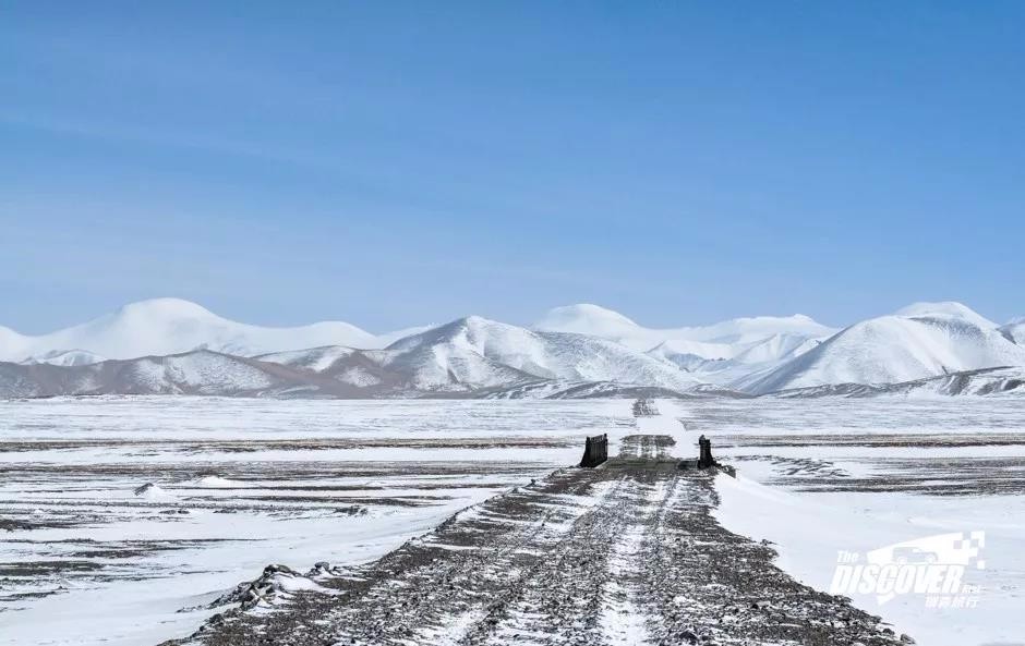 瑞森旅行 | 热搜羌塘无人区，谁才是穿越地域之门的王者