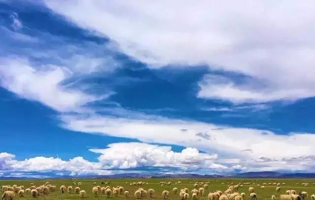 瑞森旅行 | 走进西藏 ，"醉"美高原