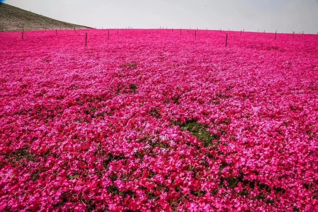 瑞森旅行 | 一年四季都能享受的宁波幸福感