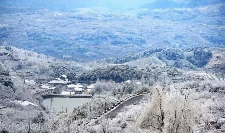 瑞森旅行 | 甬城色彩，奏响最精彩的白色恋歌