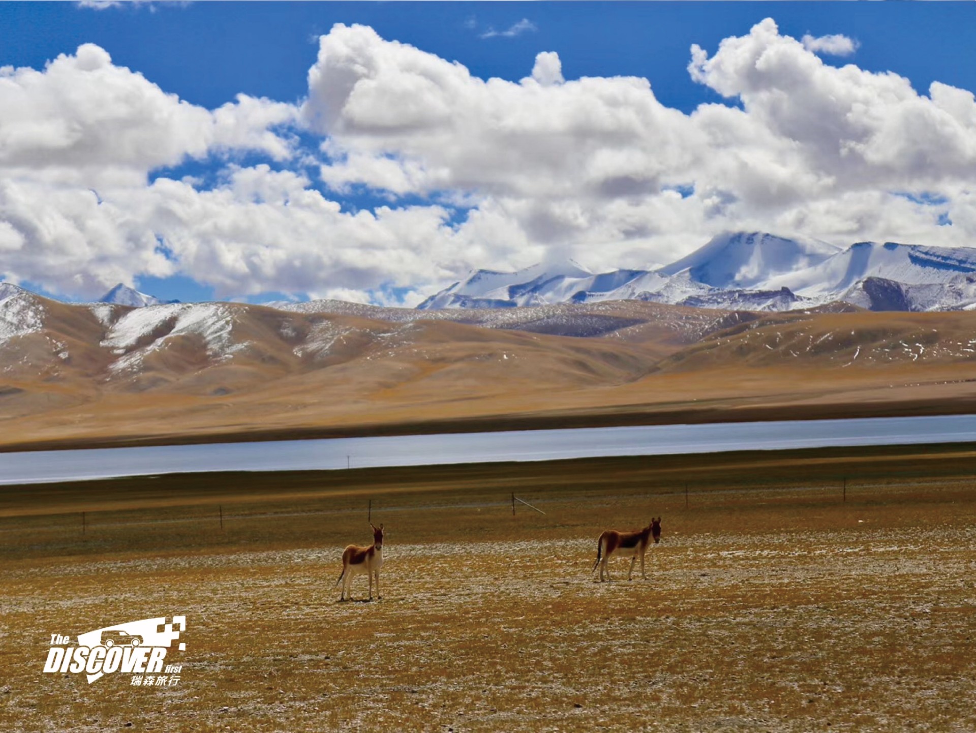 瑞森旅行 | 行色藏北无人区，一念绝境羌塘的回忆