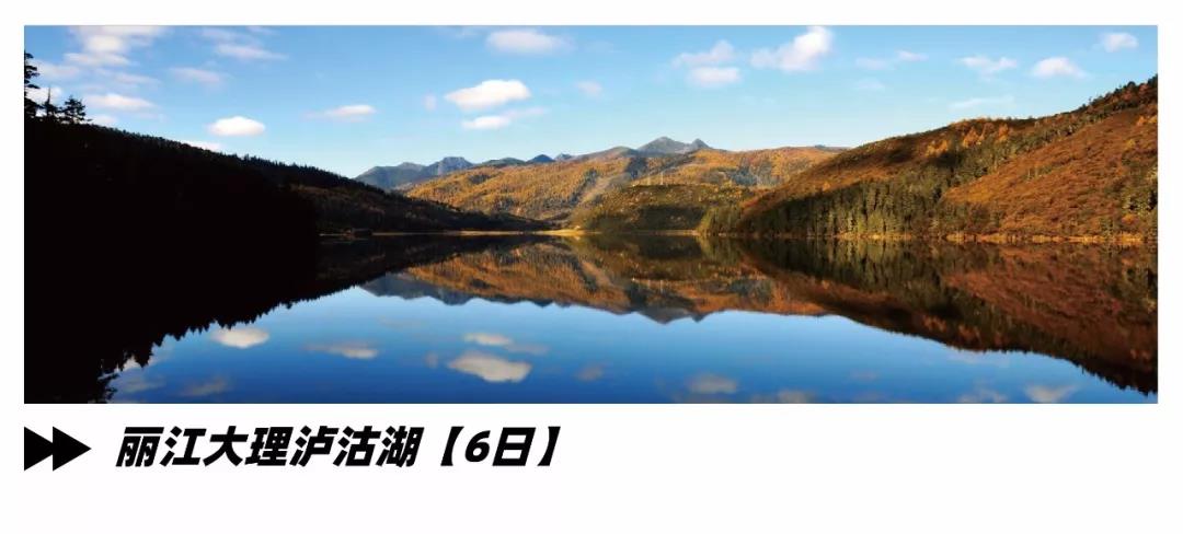 1562734065796548.jpg 微信图片_20190710112334.jpg
