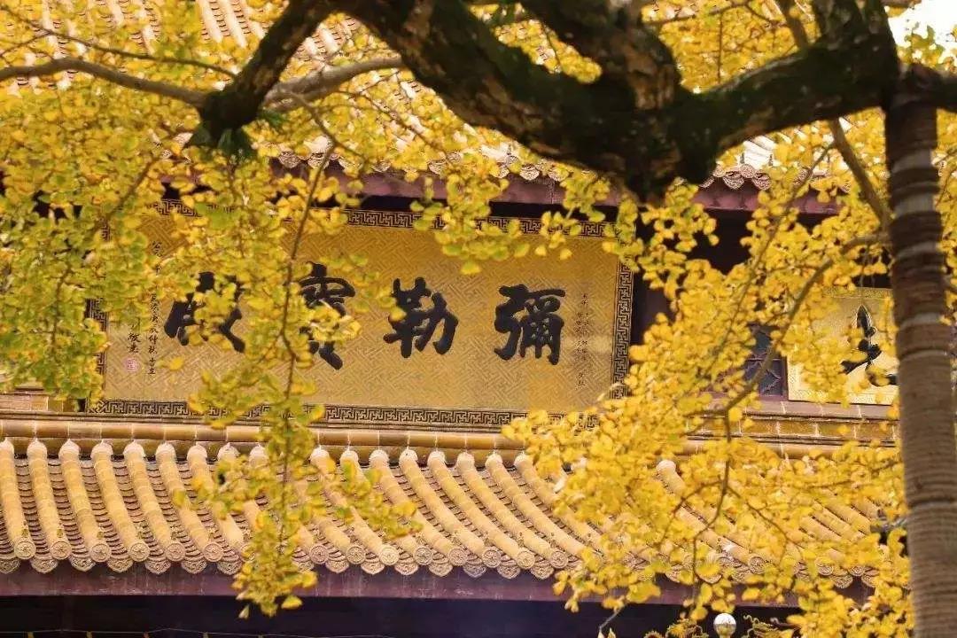 1568959687857052.jpg 微信图片_20190919160622.jpg