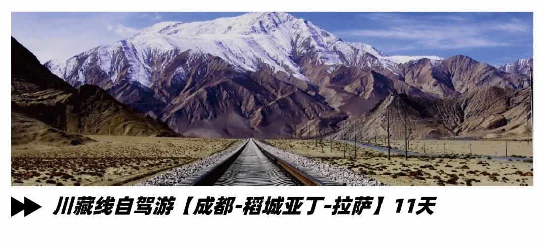 1562734007866628.jpg 微信图片_20190710112319.jpg