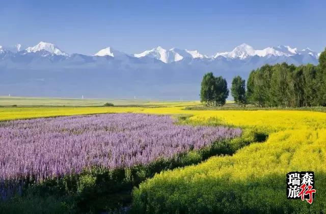 高端旅行 高端旅行