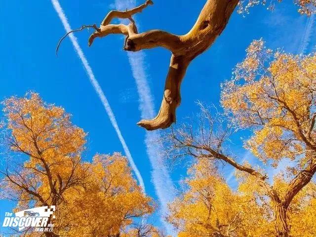 新疆自驾游 新疆自驾游