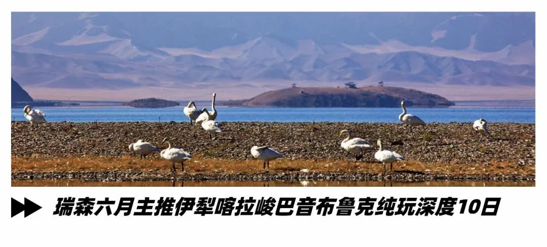 1562733976102514.jpg 微信图片_20190710112310.jpg