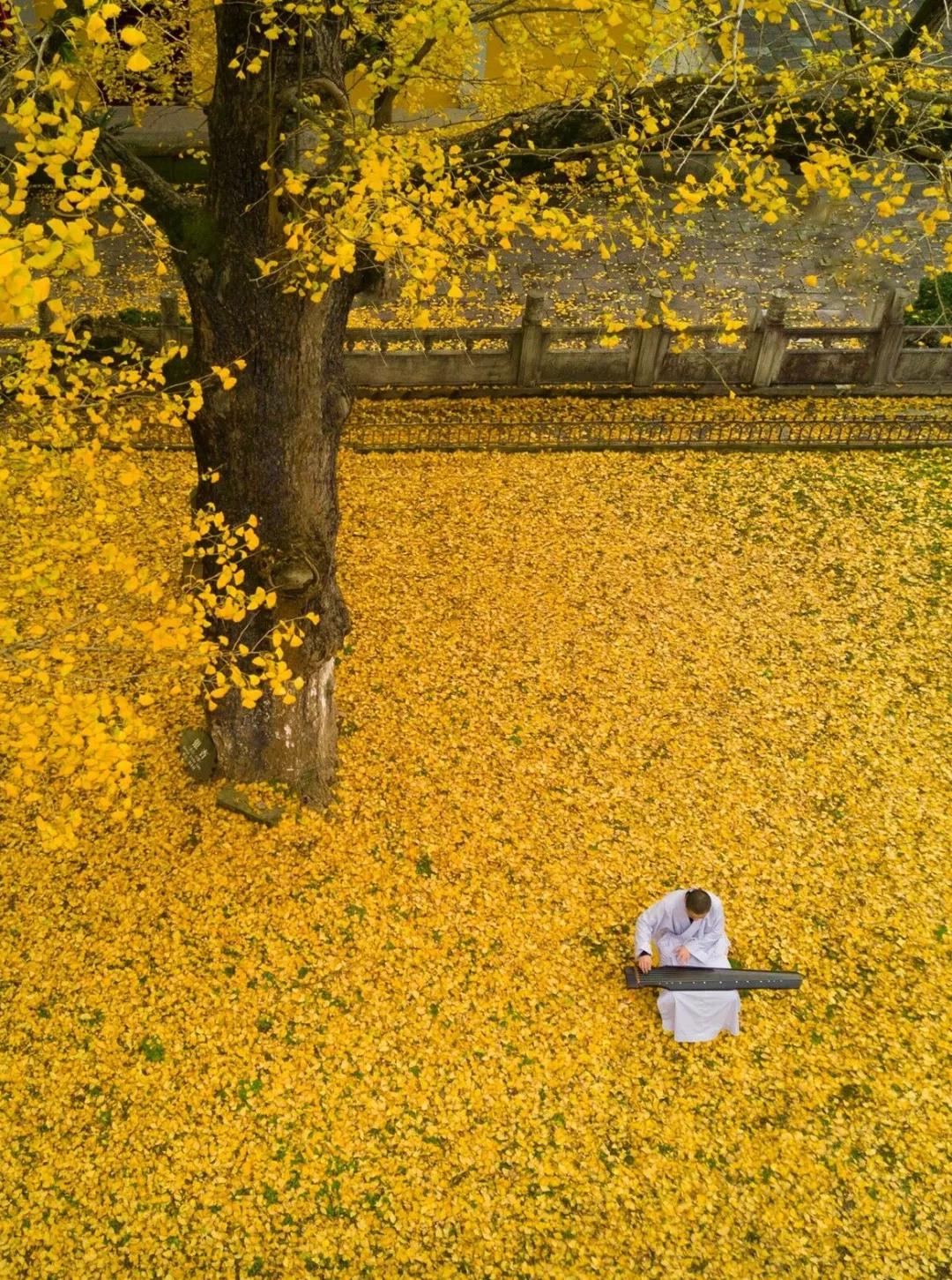 1568959720511952.jpg 微信图片_20190919160625.jpg