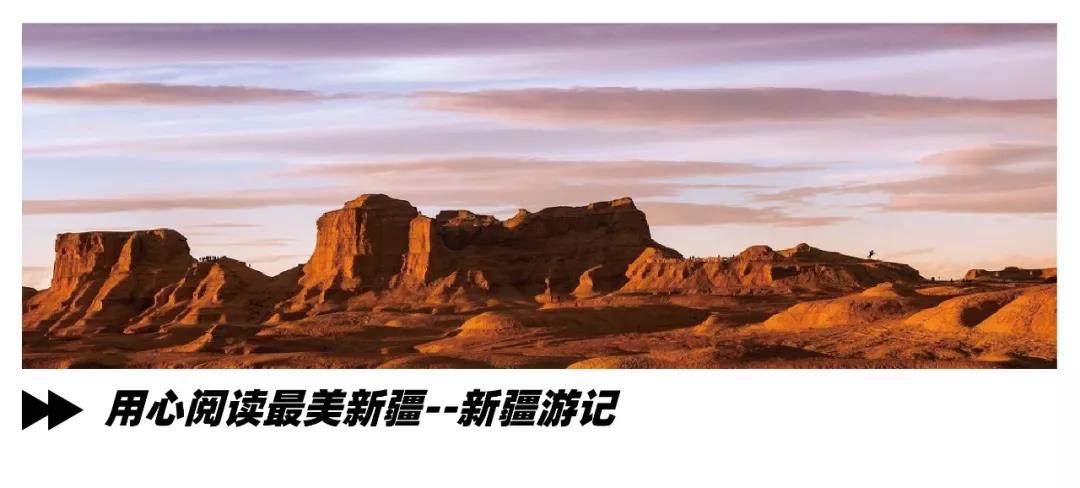 1562733956814861.jpg 微信图片_20190710112304.jpg